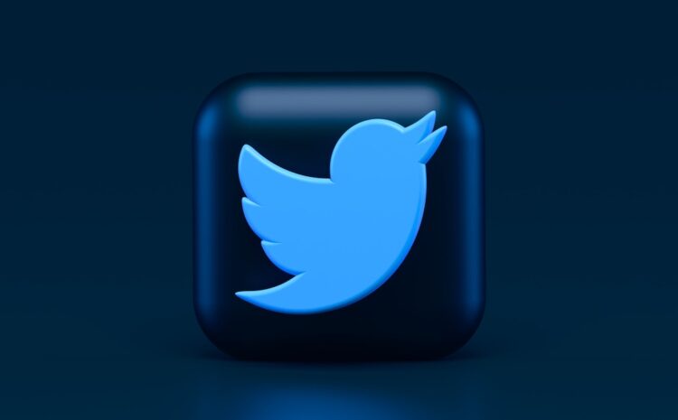  Twitter का बड़ा एक्शन,भारत में पाकिस्तान सरकार का अकाउंट किया ब्लॉक,केंद्र ने की थी मांग