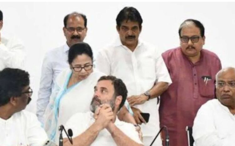 विपक्ष की बैठक में AAP-कांग्रेस विवाद में मध्यस्थ बनीं ममता बनर्जी,राहुल गांधी से क्या कम हुई दूरियां?