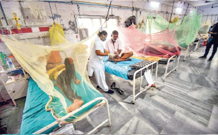 बिहार में तेजी से मिल रहे हैं डेंगू के मरीज,1100 के पार हुआ मरीजों की संख्या