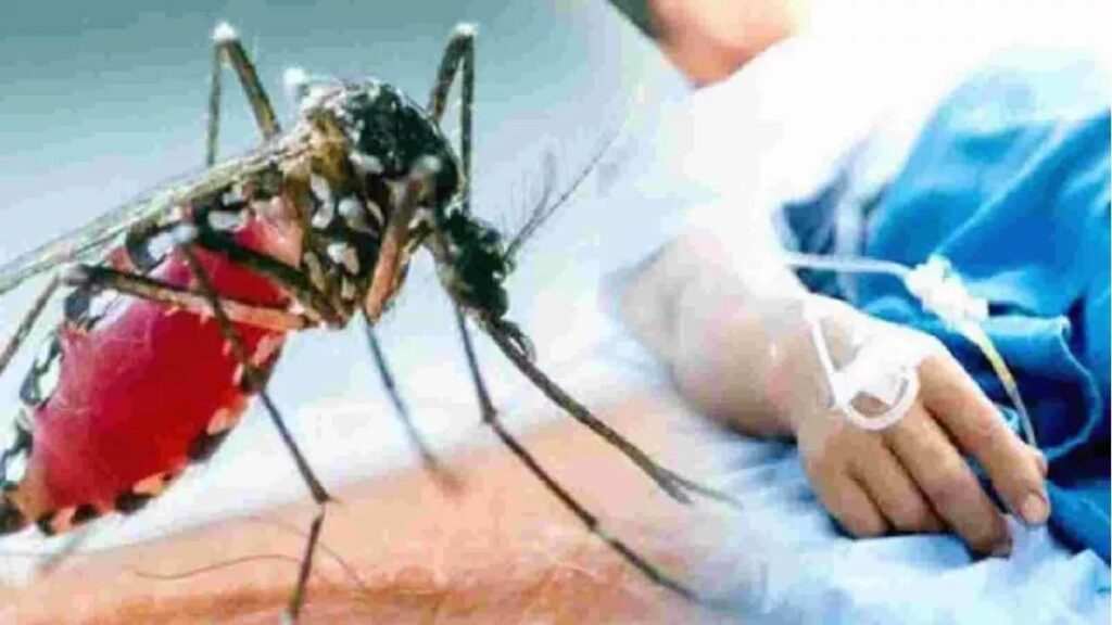 बिहार में मिला डेंगू के 270 नए मरीज,राज्य में डेंगू के मरीजों का आंकड़ा बढ़कर पहुंचा 25 हजार के पार 1 IMG 20231030 WA0008