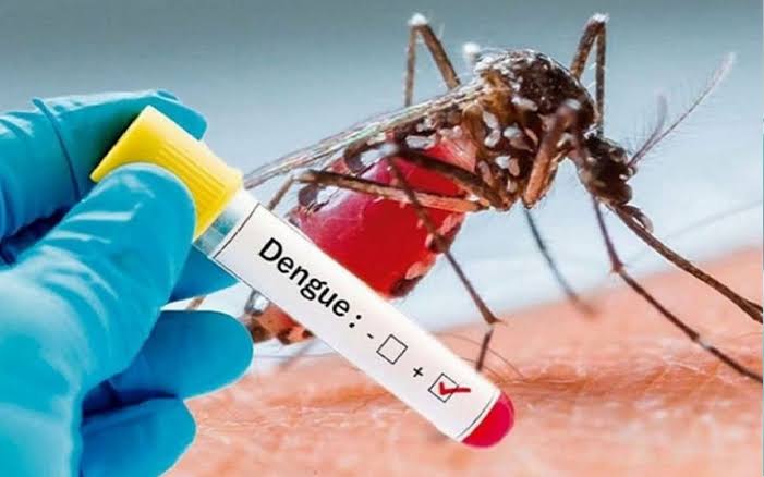  बिहार में डेंगू के फिर से मिले 51 नए मरीज,फिलहाल 110 मरीजों का चल रहा है इलाज