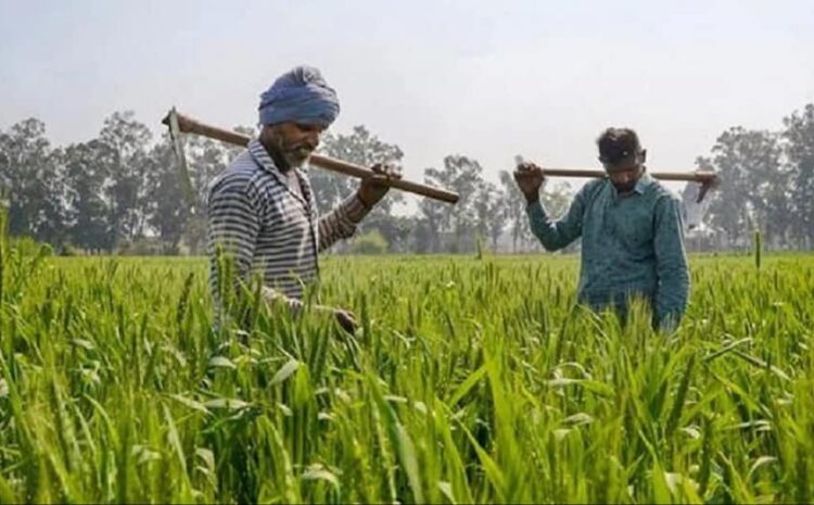 आज का बजट किसानों को कर गया मायूस,नहीं बढ़ी किसान सम्मान निधि की रकम