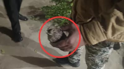 राष्ट्रीय स्वयंसेवक संघ के कार्यालय में मिला एक जिंदा हैंड ग्रेनेड,जांच हुई तो पुलिस का ही निकला हथगोला