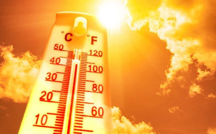  बिहार समेत देश के कई राज्यों में पारा रहेगा 44 के पार,गर्मी बढ़ाएगी अपनी सितम