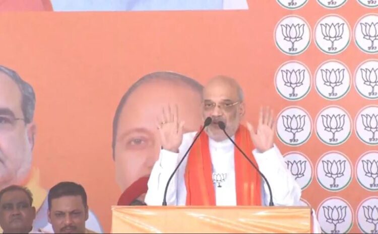 बेटों को प्रधानमंत्री और मुख्यमंत्री बनाने की चल रही है रेस,लालू और सोनिया पर जमकर बरसे अमित शाह
