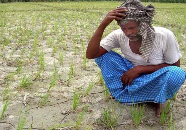  बिहार में धान रोपाई के लिए किसान हो रहे है परेशान,कम वर्षा ने बढ़ाई चिंता
