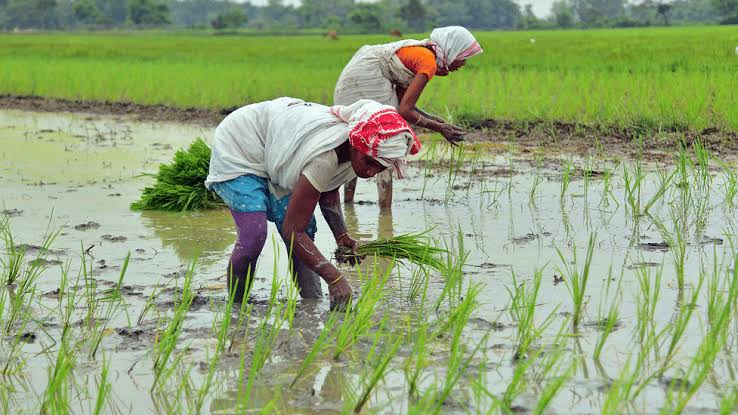 बिहार के 10 जिलों में भारी बारिश का अलर्ट हुआ जारी,किसानों को किया गया सावधान