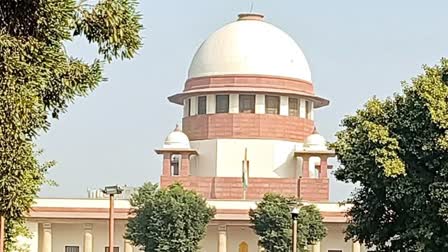 सुप्रीम कोर्ट में इजरायल मामले पर दायर हुआ याचिका,जानिए क्या है पूरा मामला? 1 1000384577