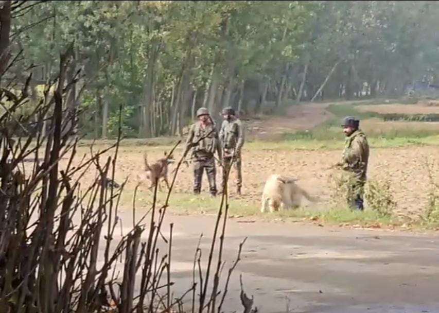 जम्मू कश्मीर के कुलगाम में आज फिर दिखा पाक की नापाक हरकतें! 1 1000397144