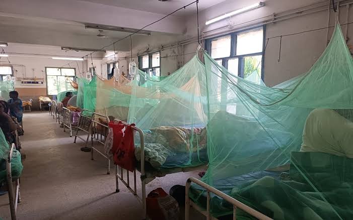  बिहार में महज 24 घंटे में मिले डेंगू के 33 नए मरीज,स्वास्थ्य विभाग ने जारी की एडवाइजरी