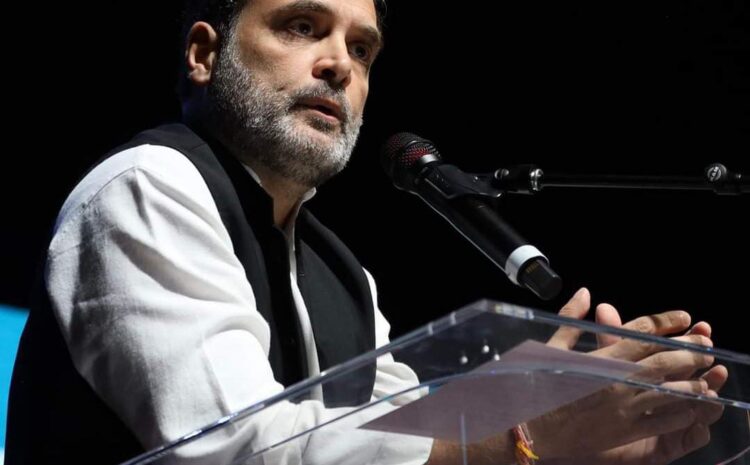राहुल गांधी ने ये क्या कह दिया?भारत में कोई भी भाजपा या प्रधानमंत्री से नहीं डरता