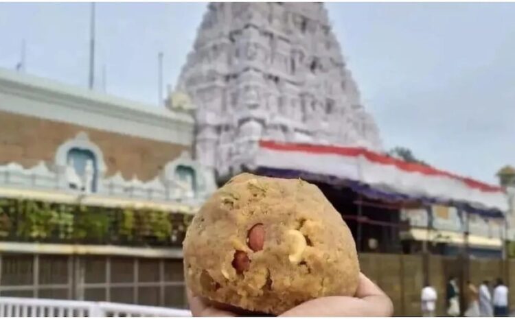 तिरुपति प्रसाद मामले में सुप्रीम कोर्ट का आया बड़ा फैसला,जांच पर फिलहाल लगा दी गई रोक