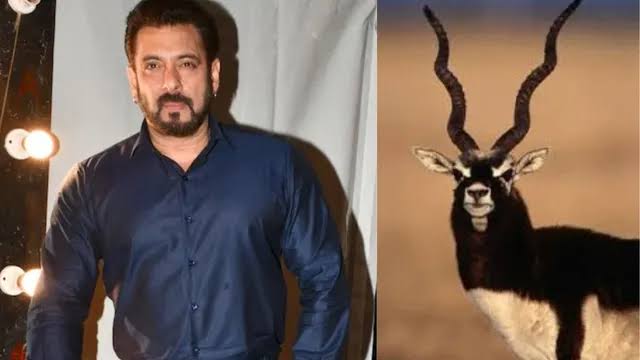 बिश्नोई समाज से माफी मांग लें सलमान खान,बीजेपी सांसद ने दिया सुझाव