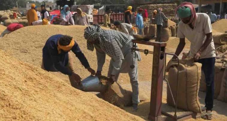 तय हुआ धान का न्यूनतम समर्थन मूल्य 2300 और 2320 रुपये,आज से शुरू होगी धान की खरीद 1 1000418165
