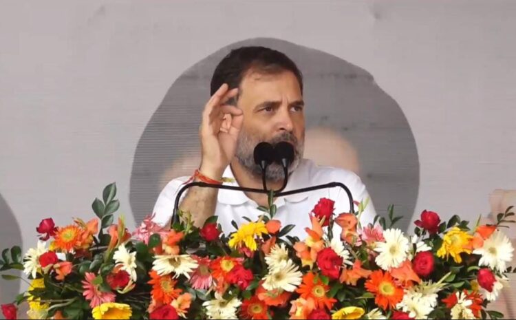  राहुल गांधी ने बीजेपी सरकार को दी चैलेंज,कहा-जातिगत जनगणना को पास करके दिखाएंगे