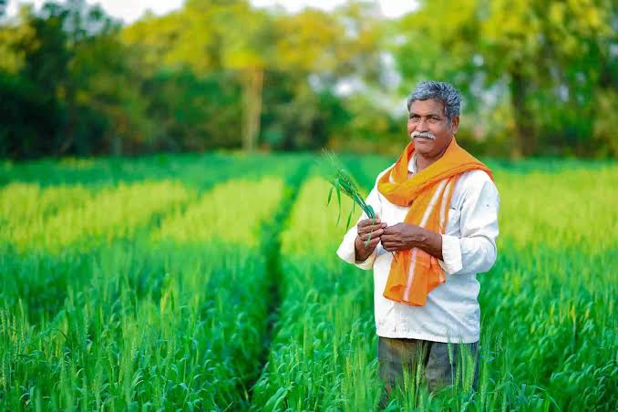 आगामी बजट में किसानों को बड़ी तोहफा दे सकती है मोदी सरकार,किसान कार्ड कार्ड लोन की लिमिट को बढ़ाकर किया जाएगा 5 लाख! 1 1000462608