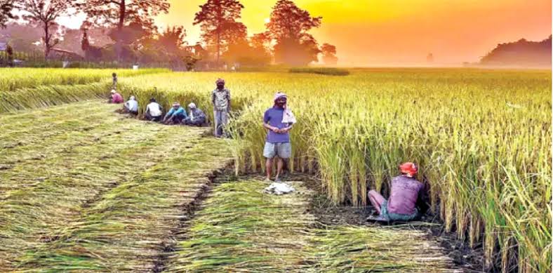 कृषि और ग्रामीण समृद्धि को लेकर आज संबोधित करेंगे पीएम मोदी,कृषि मंत्री शिवराज सिंह चौहान भी रखेंगे अपना विचार 1 1000484628