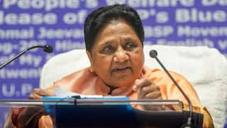 अंबेडकर की प्रतिमा का अपमान करने पर भड़की मायावती,सामंती तत्वों के विरुद्ध सख्त कार्रवाई होनी चाहिए