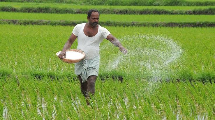 भारत को मोदी सरकार बनाएगी विश्व का अन्न भंडार,चावलों का बढ़ेगा उत्पादन,पानी बचेगा और लागत भी घटेगी