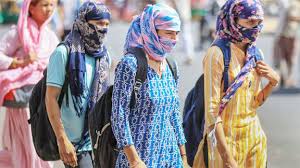 राजस्थान के महेश कुमार ने टॉप किया NEET की परीक्षा,NTA ने जारी किया परीक्षा परिणाम 1 1000533974