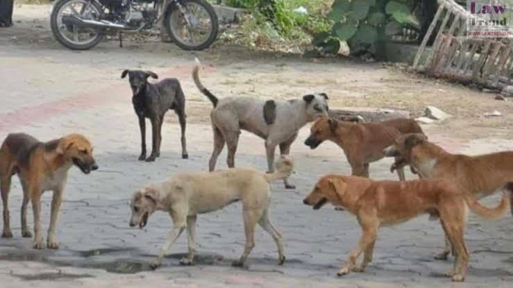 कई राज्यों में होगी झमाझम बारिश,बिहार से होगी अब असली बरसात की शुरुआत