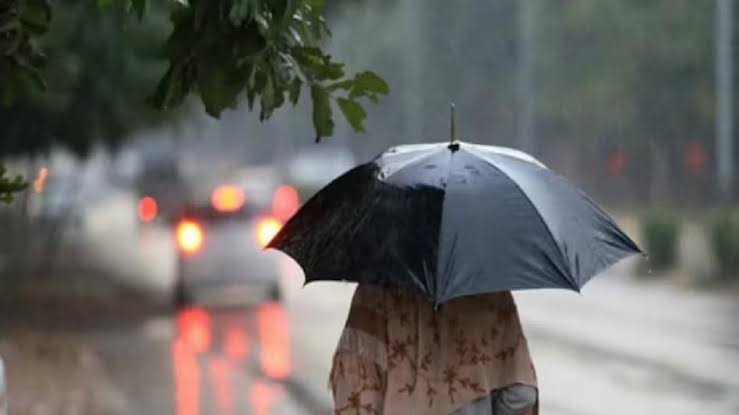 मानसून का दिखने लगा असर,बिहार समेत कई राज्यों के लिए जारी हुआ अलर्ट