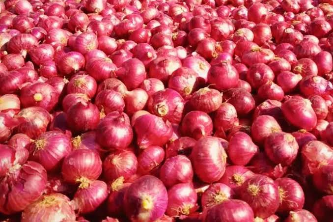  प्याज ने निकाले किसानों के आंसू,गिरती हुई दाम से बढ़ी परेशानी