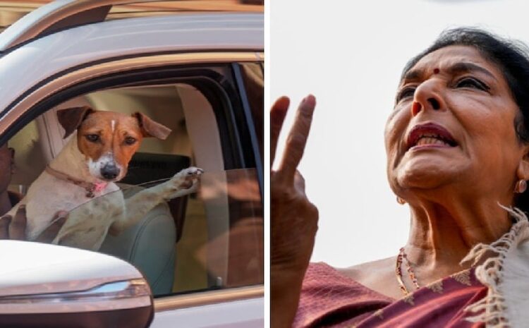  अपने बयानों से घिर गए बीजेपी विधायक,राजद-कांग्रेस ने बीजेपी पर नैतिकता का उठाया सवाल