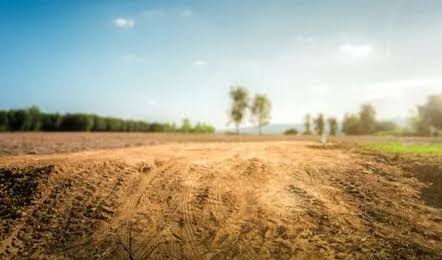  भूमि सुधार को लेकर नीतीश सरकार ने तैयार किया बड़ा रोडमैप,पंचायत स्तर पर उपलब्ध होंगे नक्शे और जमीन की सूची