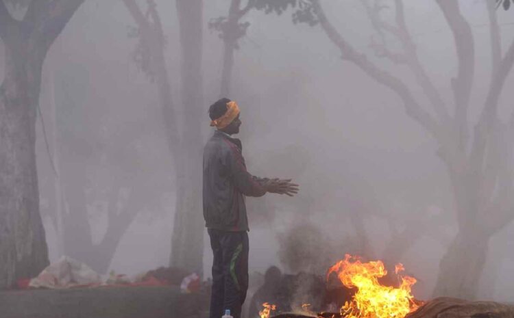 शीतलहर और घने कोहरे का अलर्ट जारी,पंजाब से लेकर बिहार तक कोहरे की मार