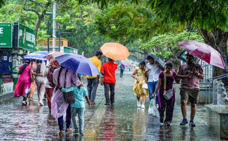  मॉनसून फिर से हुआ सक्रिय,तेज़ आंधी-तूफान के साथ होगी झमाझम बारिश