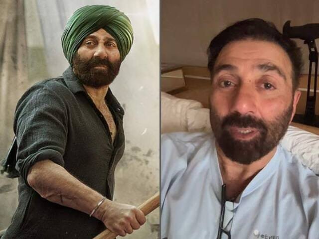 ‘गदर 2’ ने सनी देओल के लौटाए अच्छे दिन,फिर से बन गए दर्शकों का खास 1 1000805997